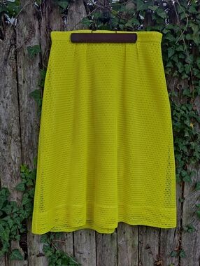 J. Crew Lime Mesh A-Line Skirt